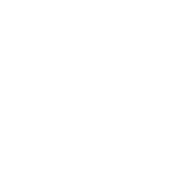 STIIIZY