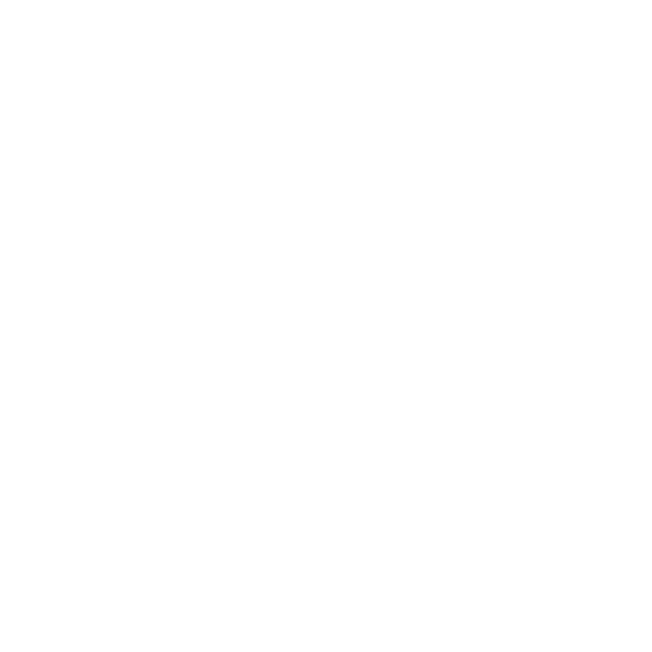 The Joint Venture