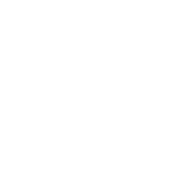Dime Industries