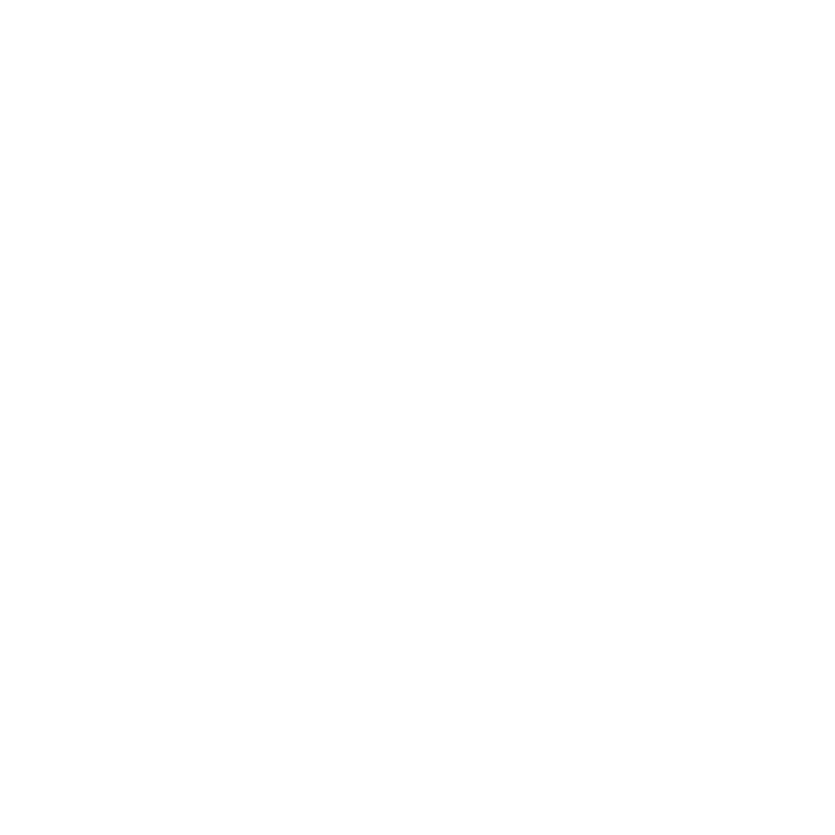 Lion Labs